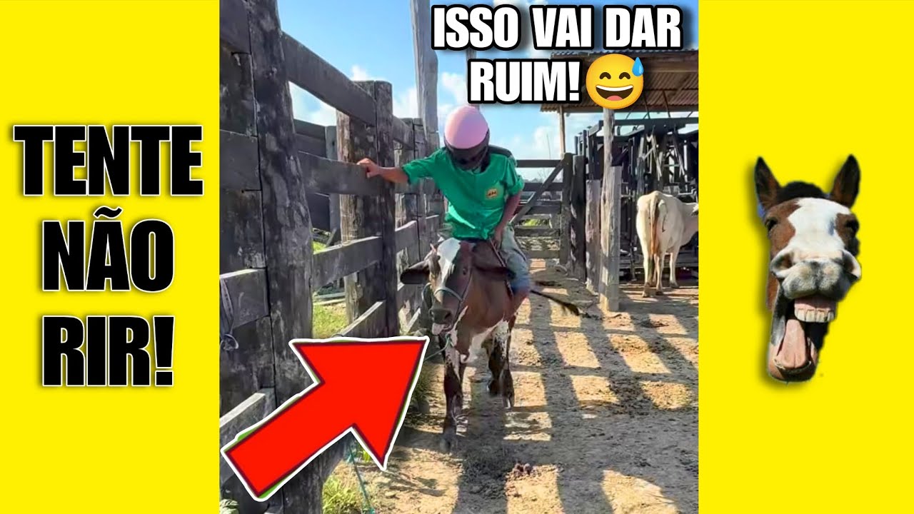 VÍDEOS ENGRAÇADOS 01: TENTE NÃO RIR #videosengracados #tentenaorir #viral #humor #comedia #funny 