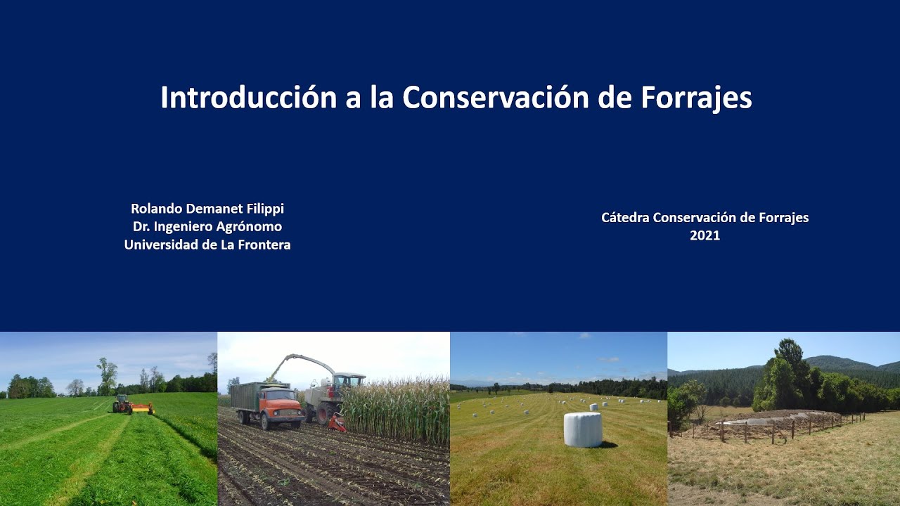 Introducción a la conservación de forrajes