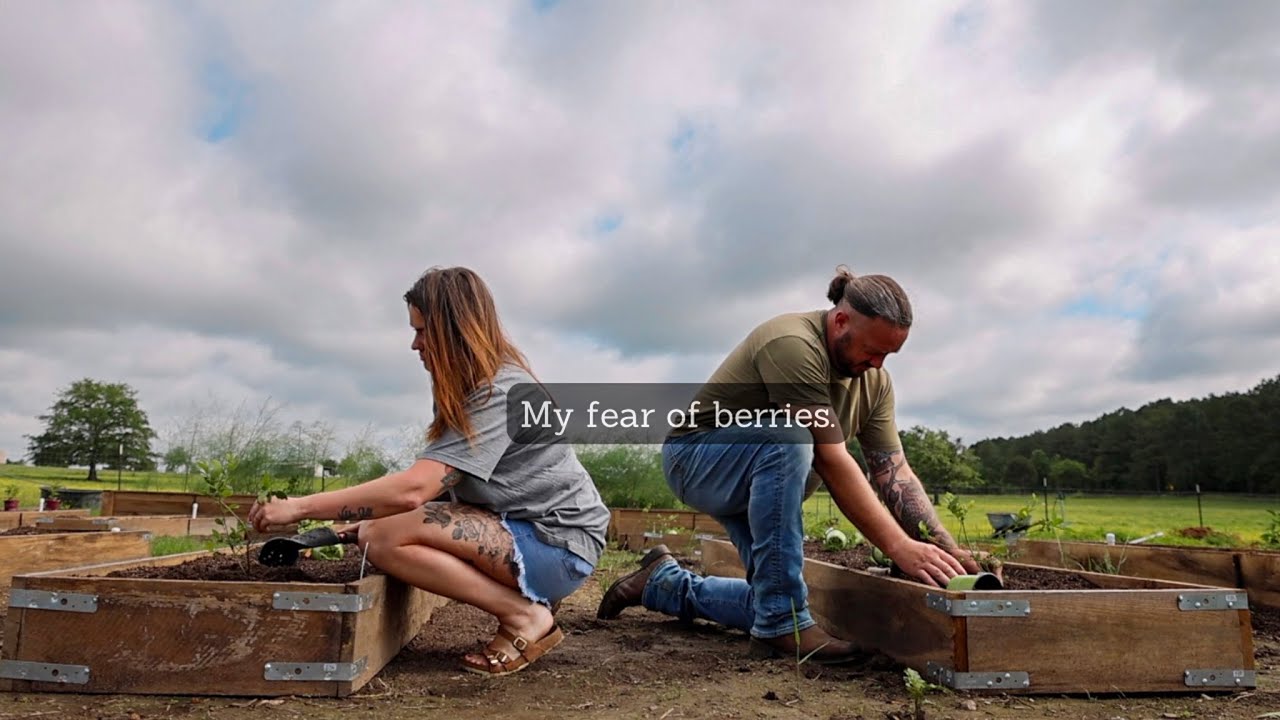 Our new fruit garden (I was so intimidated at first) | VLOG