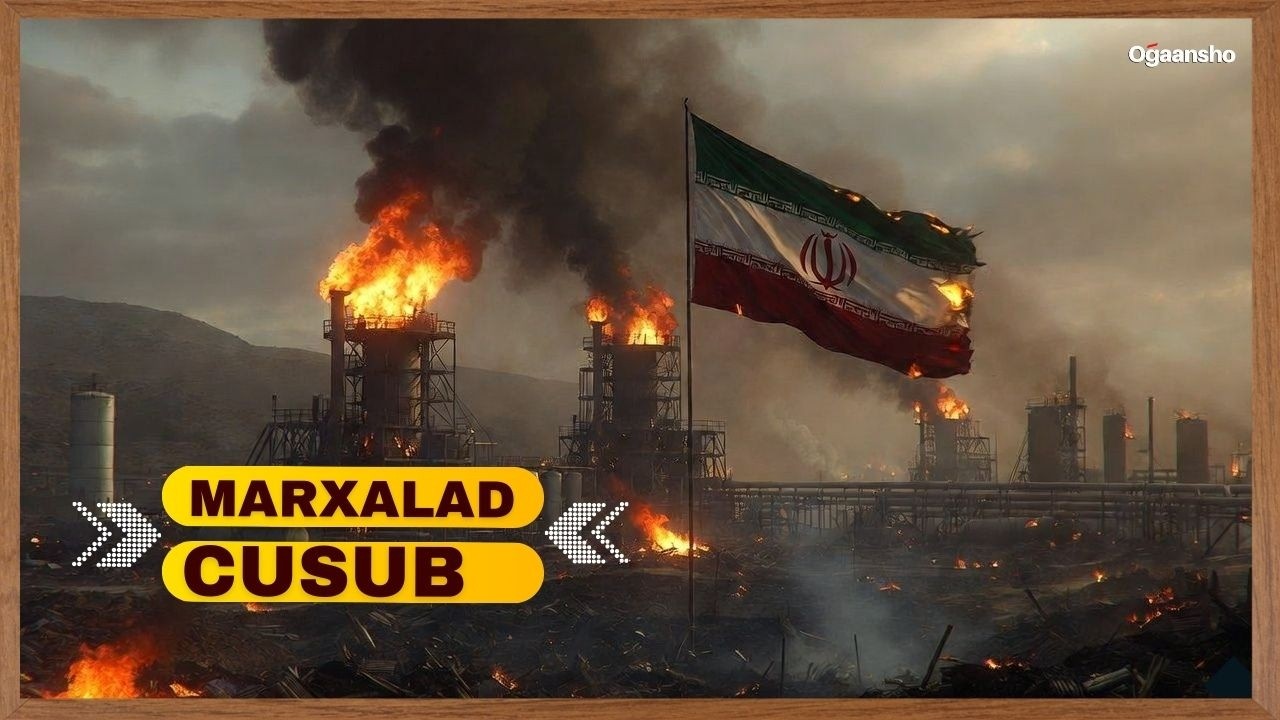 Marxalad Xasaasi Ah Ayuu Dagaalku Galay .