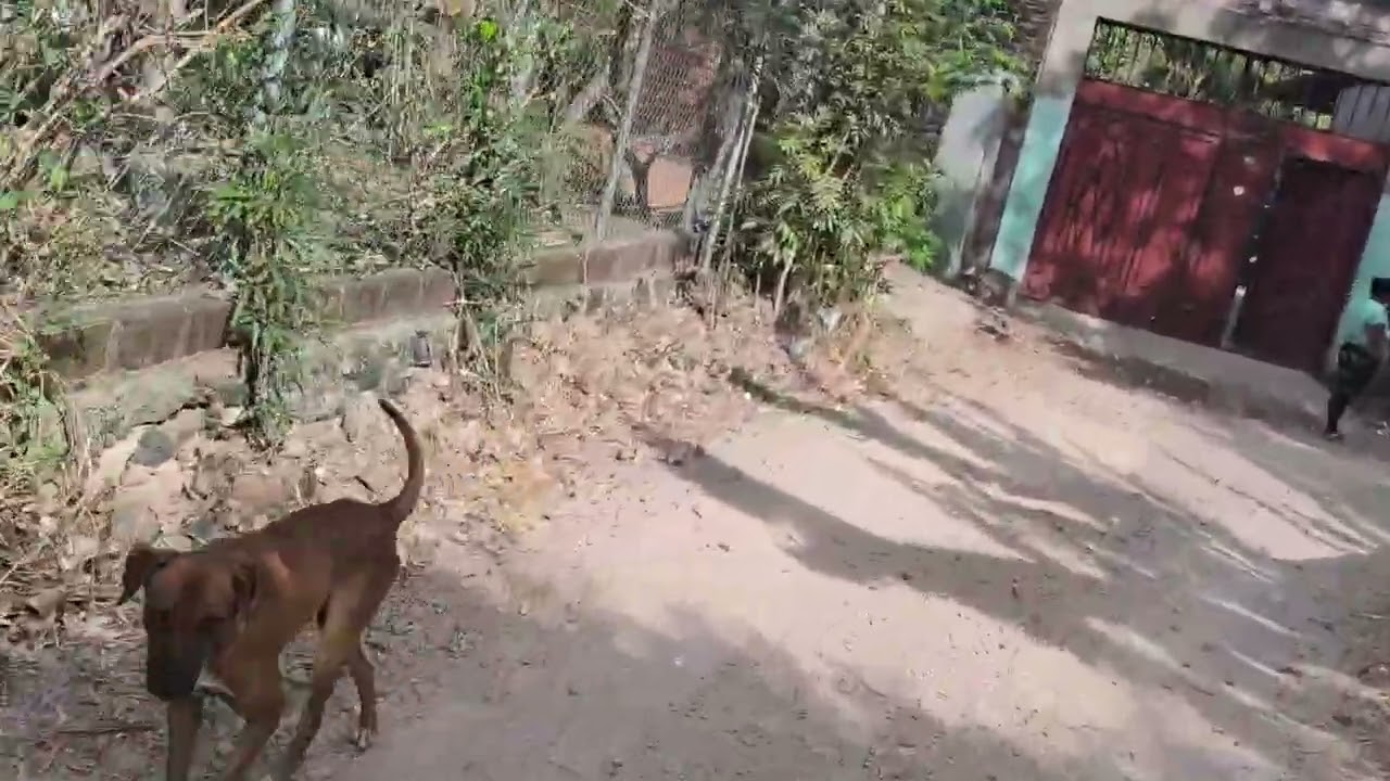 El Salvador Por Dentro🇸🇻Casitas🇸🇻