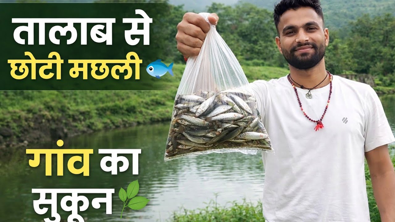 आज तालाब से छोटी मछली खरीदी | गांव के खेतों में सुकून भरा दिन