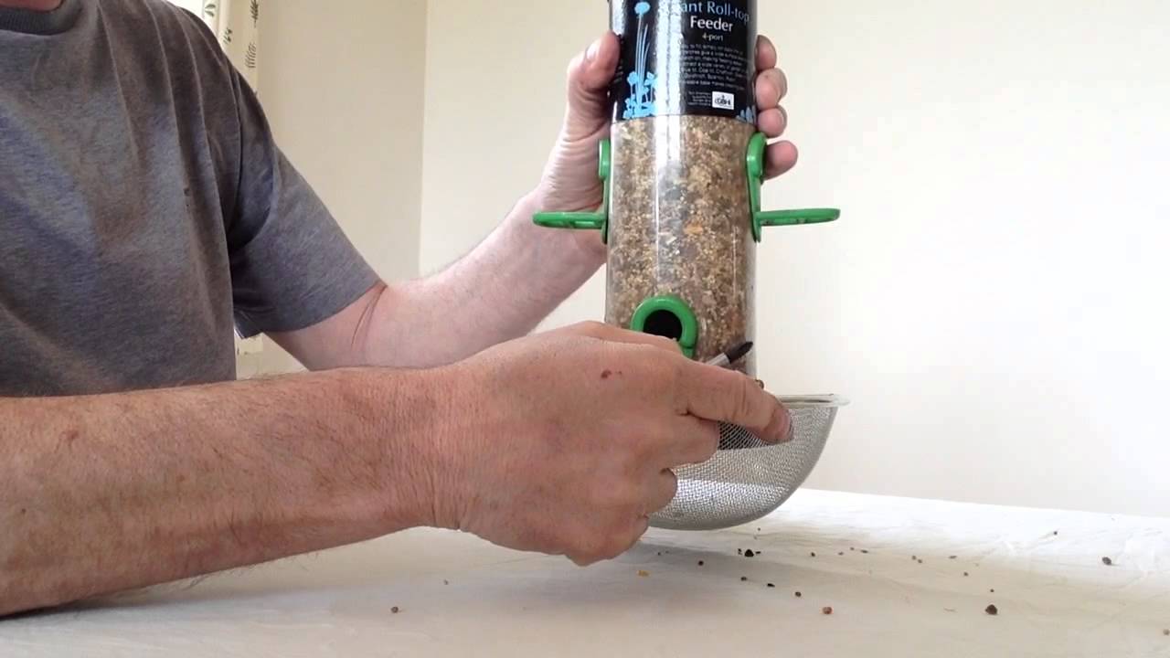 KEEPING RATS AWAY FROM BIRD FEEDER.