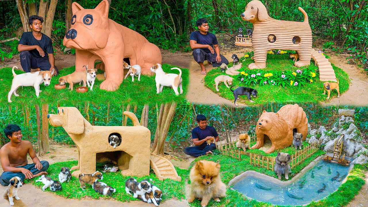 Building Amazing Puppy Houses in the Jungle! 🐶🏡 LIVE | Cute Puppies & DIY Dog Shelters