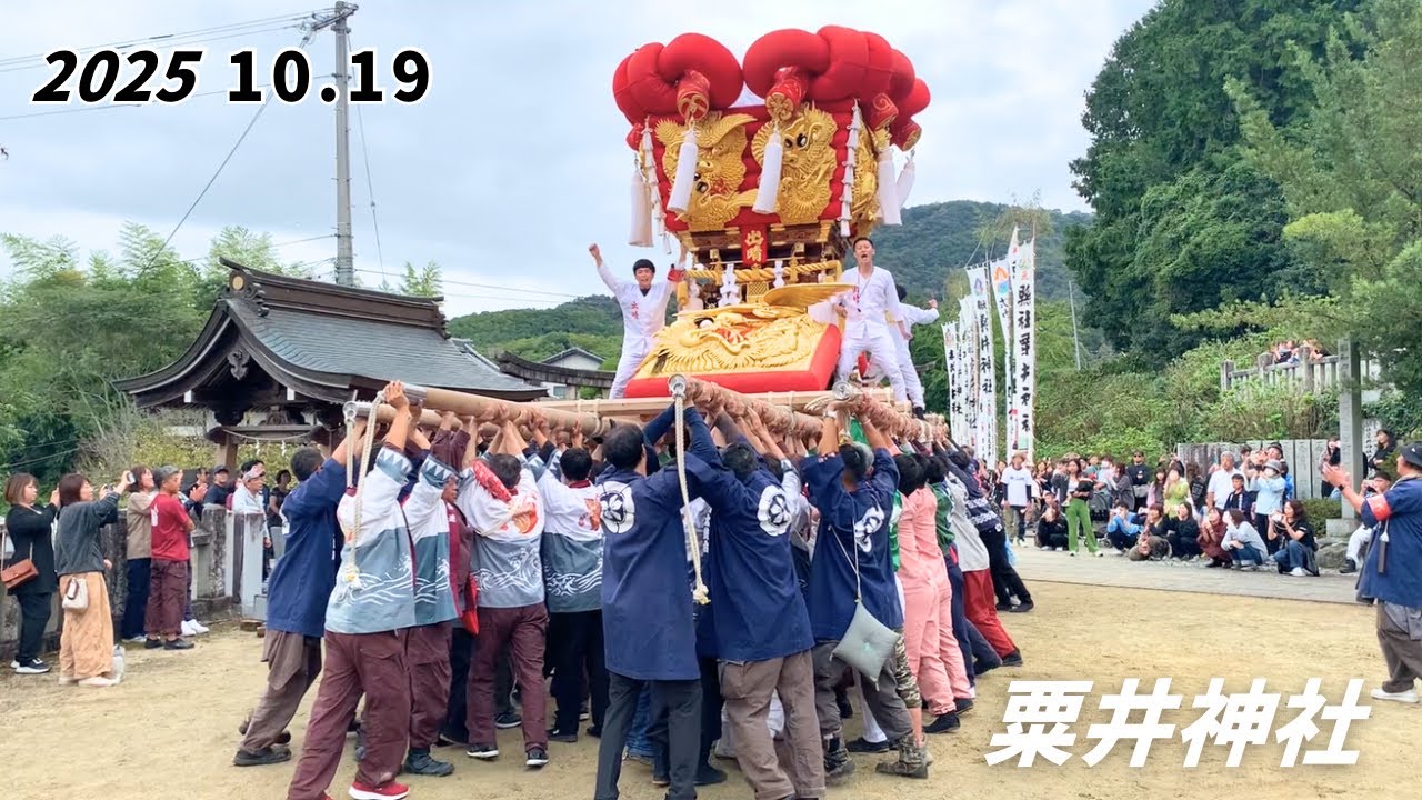 2025年10月19日 粟井神社例大祭 宮入り