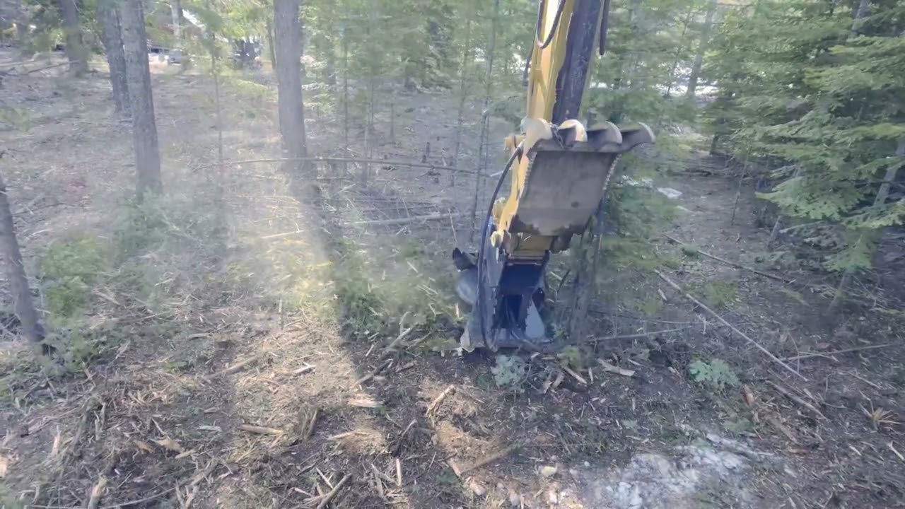 Promac R-Series XM Disk Processes Grounded Debris for 10-Minutes 🫳⬇️🍃 #Forestry #Mulcher #Mower