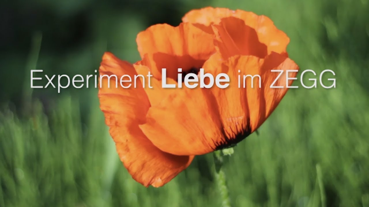 Experiment Liebe im ZEGG  --  Experiment 