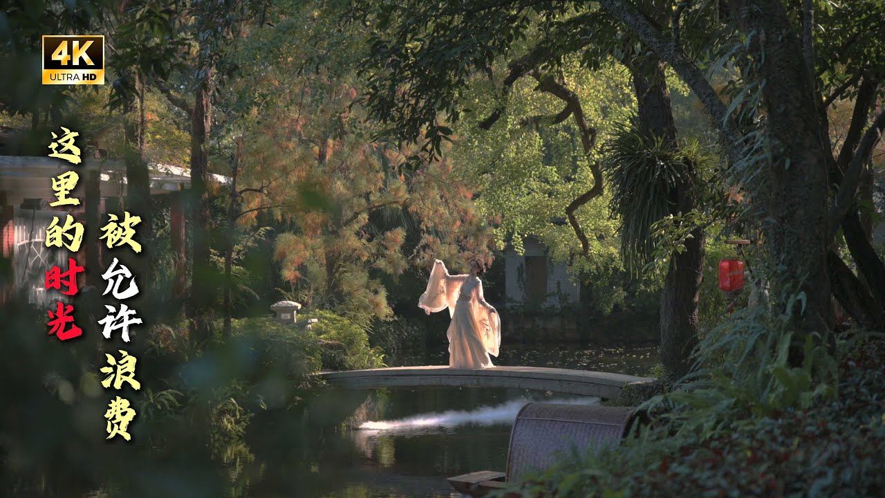 [4K] Сад орхидей Гуанчжоу: Здесь время можно тратить впустую 🌿 Японские целебные прогулки и фотос...