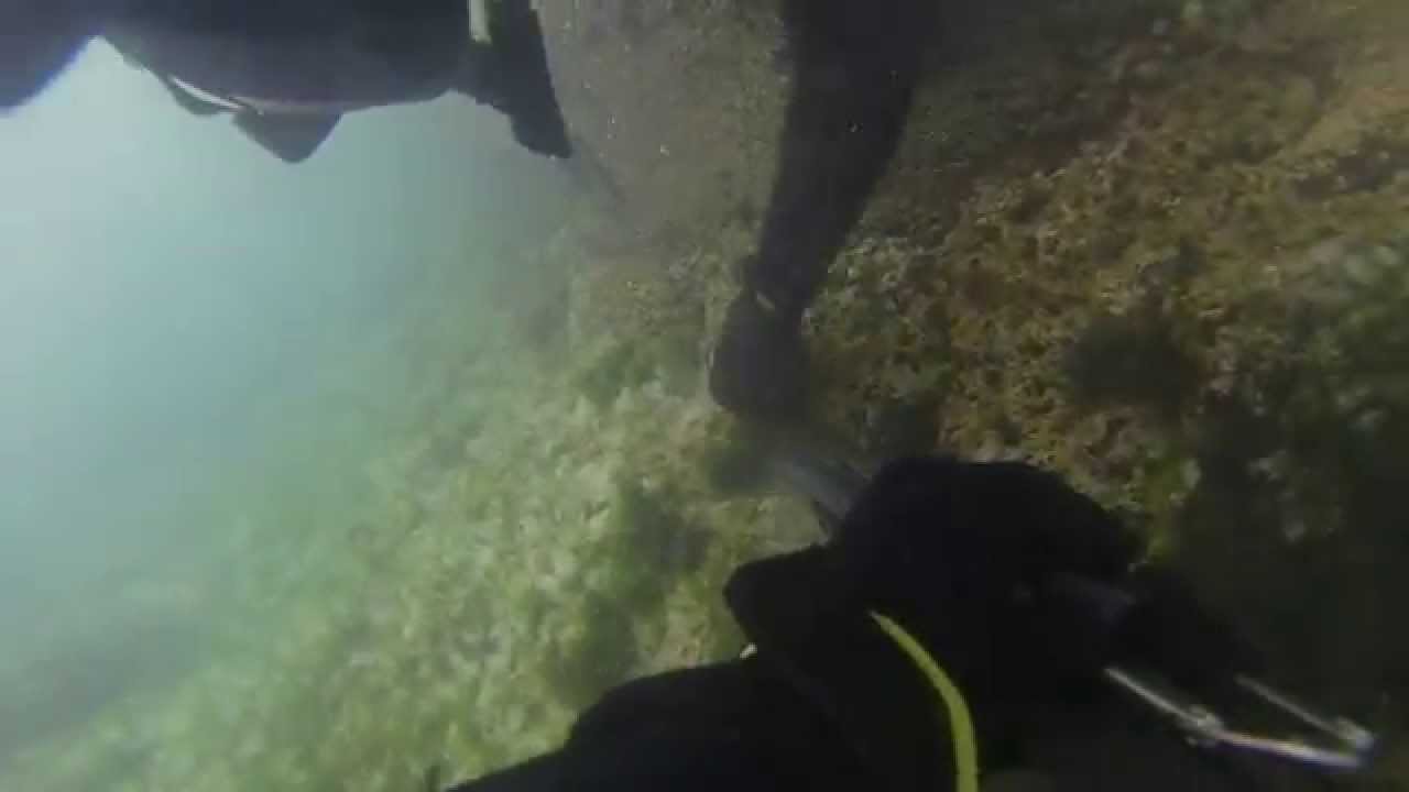 Pesca Submarina Viana do Castelo (SpearFishing)