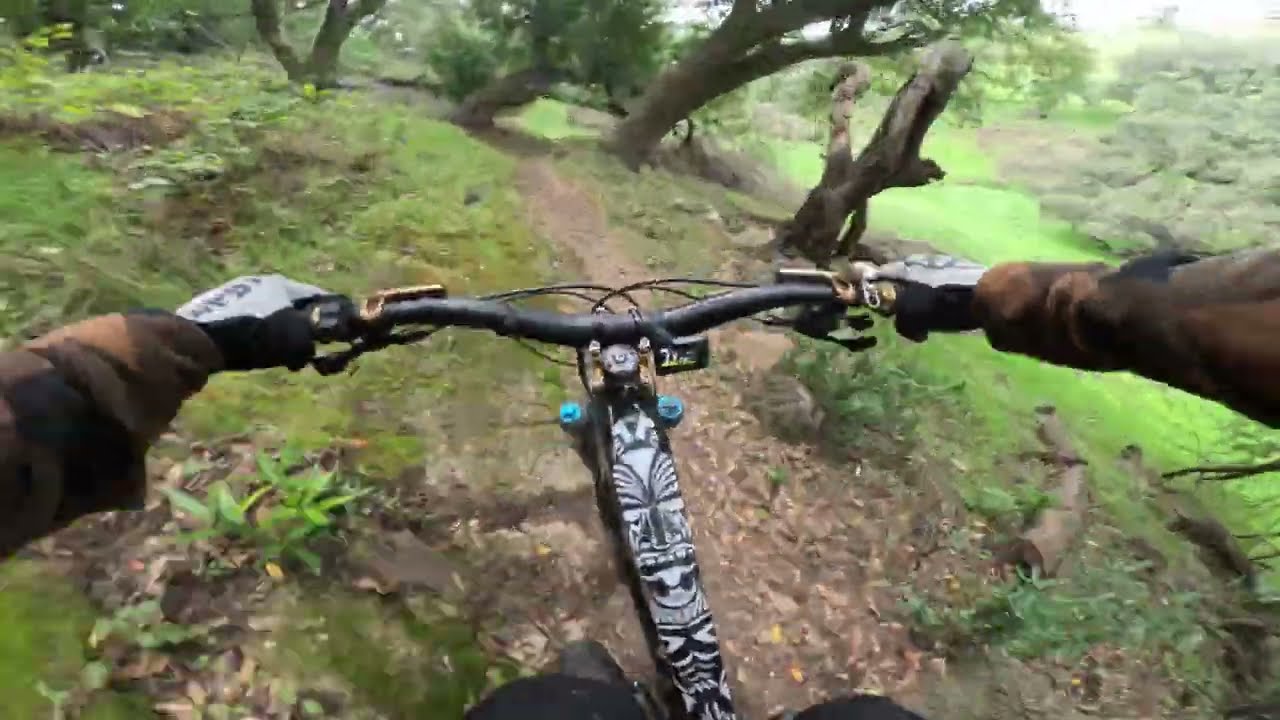 ZANE || Skyline Wilderness Park || Napa, CA