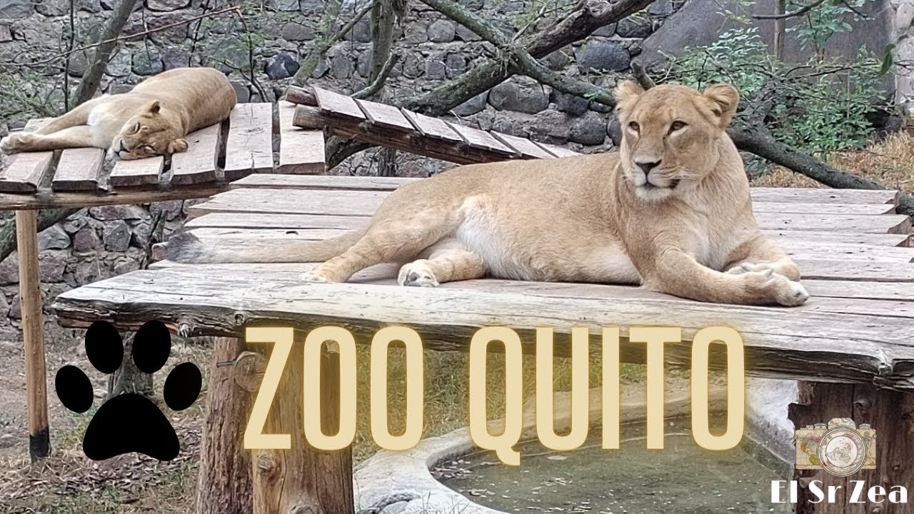 El zoologico de Quito es una maravilla! | El Señor Zea