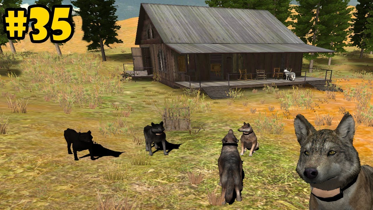 Wolf Quest Multiplayer - Lost River -Hunting With Friends- Android/iOS/Kindle - Gameplay Episode 35