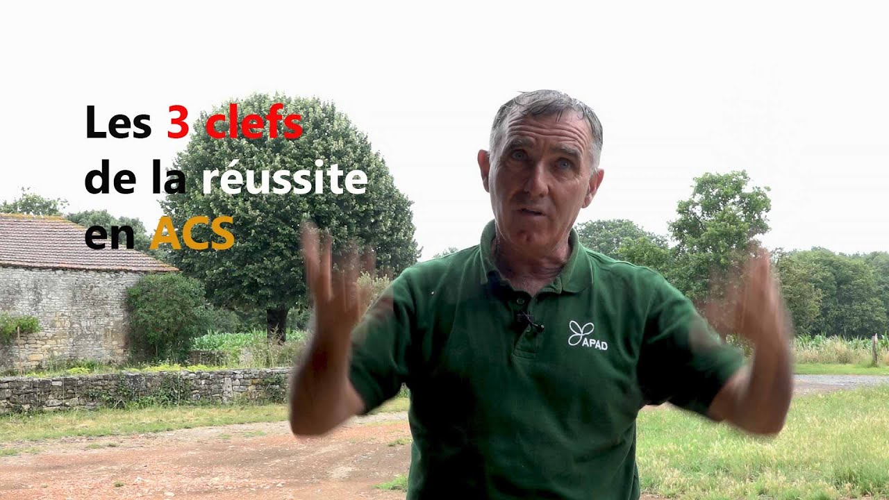 N°2 Les 3 clefs de la réussite en ACS