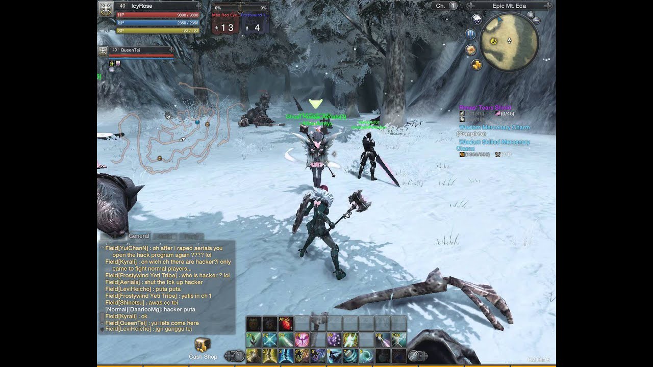 RaiderZ Aerials Stack