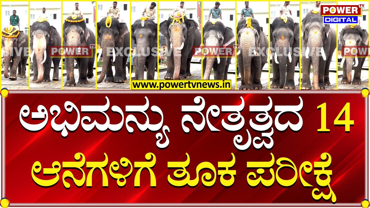 Mysuru Dasara 2024 : ಅಭಿಮನ್ಯು ನೇತೃತ್ವದ 14 ಆನೆಗಳಿಗೆ ತೂಕ ಪರೀಕ್ಷೆ | Power TV News