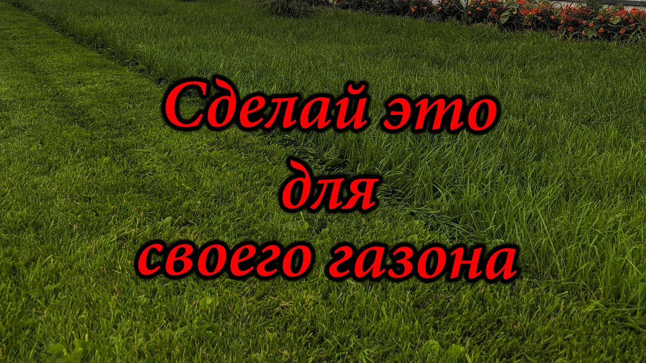 Удобрение газона в весенний период