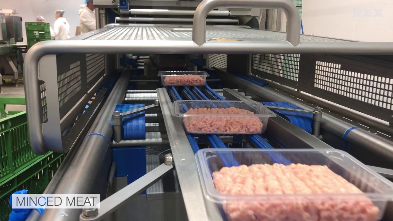 REX-Technologie - Hackfleisch - Faschiertes Produktion - minced meat - Viande hachée - Carne picada