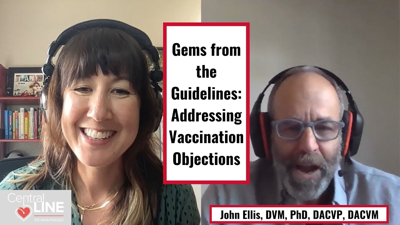 Gems from the Guidelines: Addressing Vaccination Objections