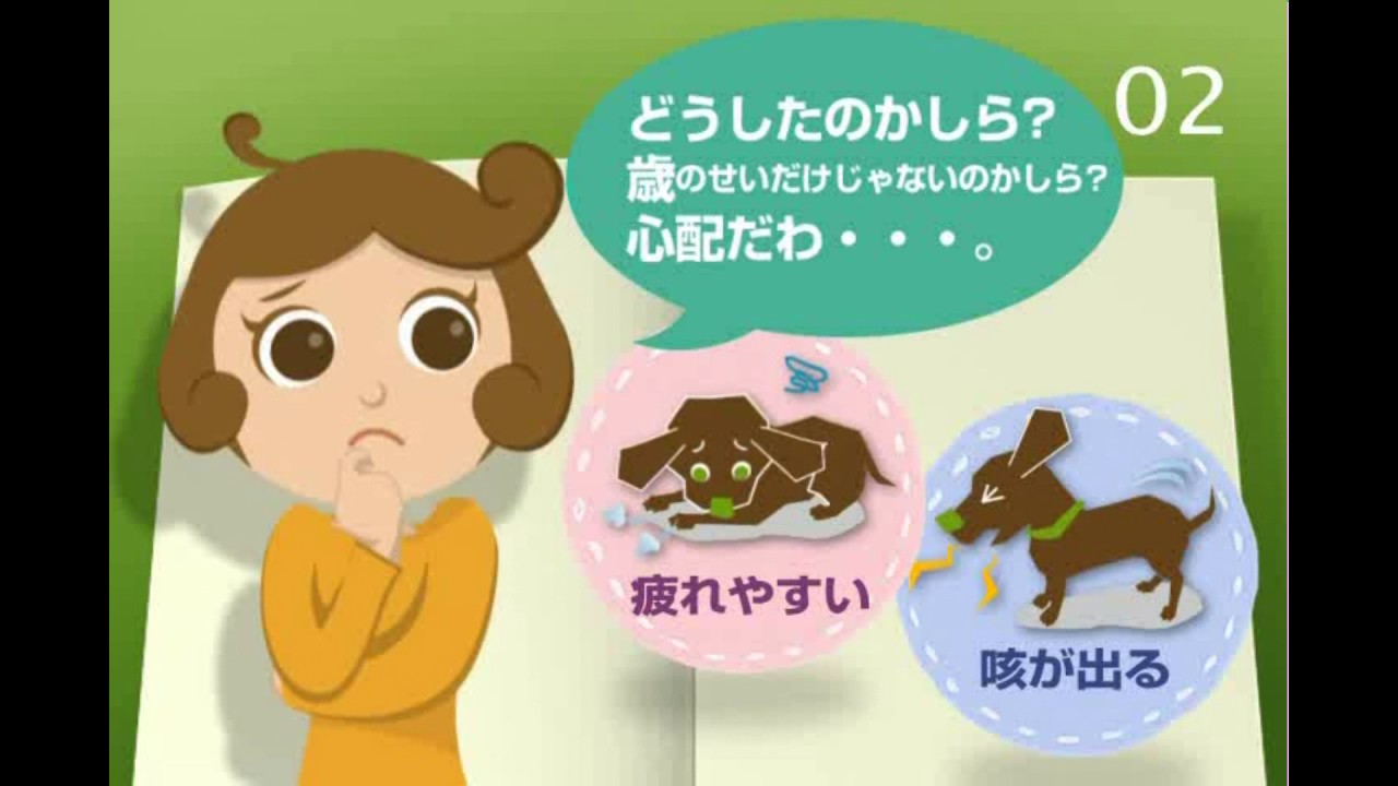 犬の心不全　第１章　慢性心不全と診断されたら