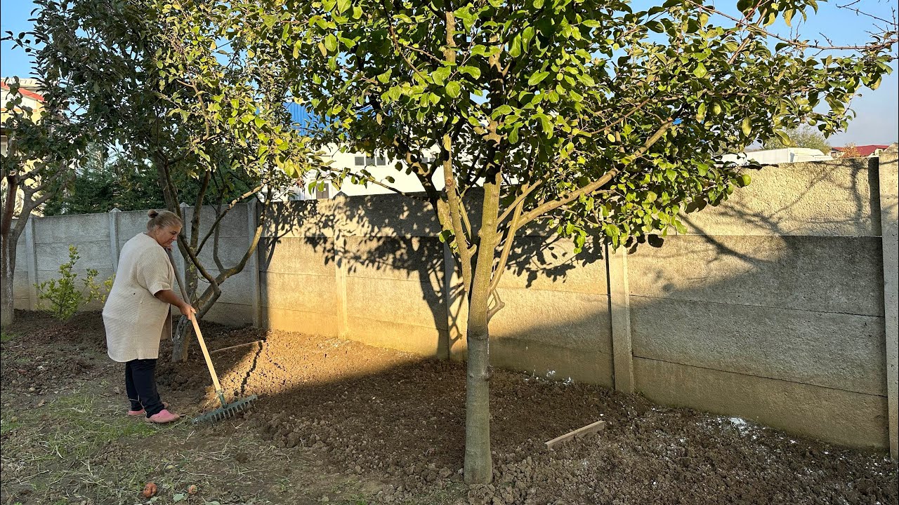 Bahçemizde Bir Gün| Kışlık Sebzelerimizi Ekiyoruz! 🌱☘️🍀🌿￼