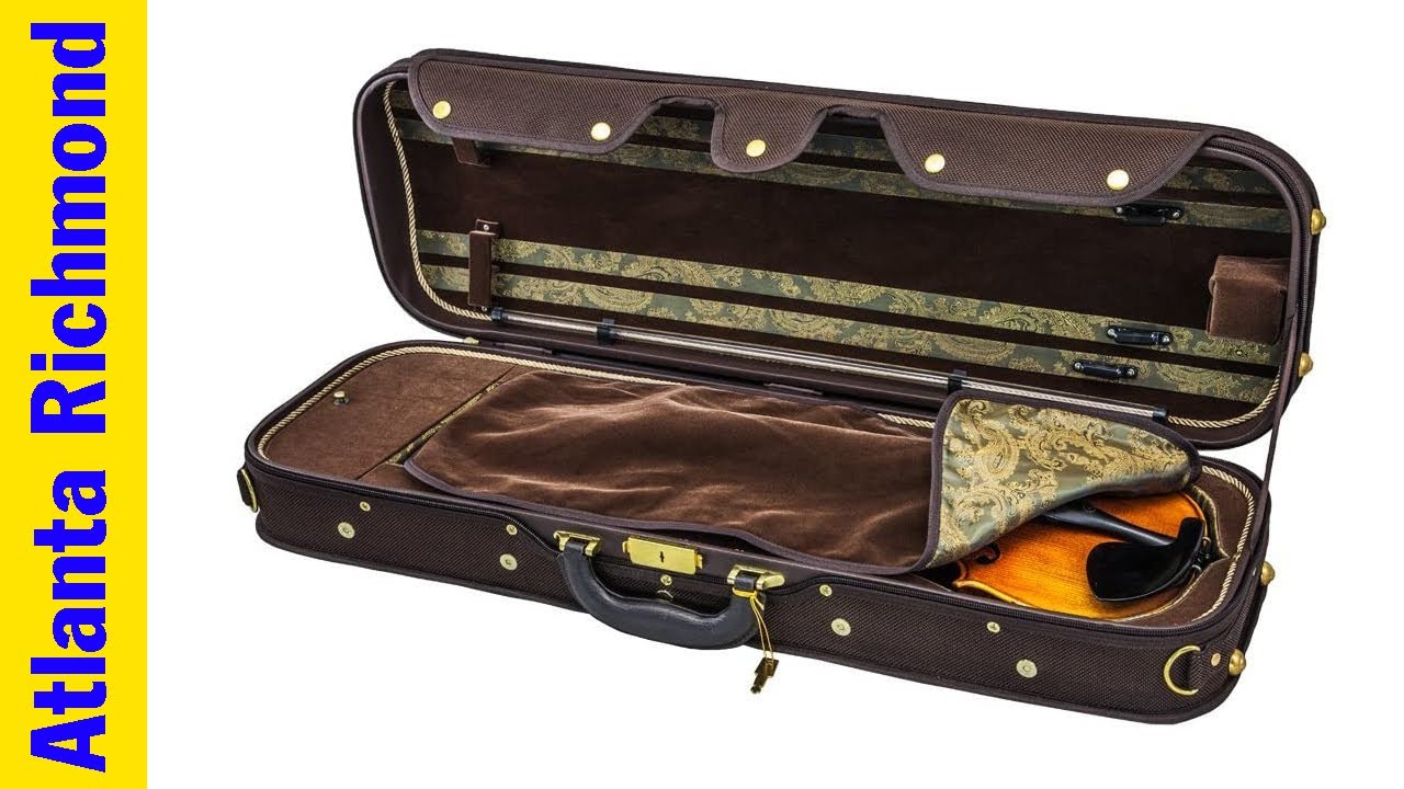 Best Violin Cases 2026 - Top 5