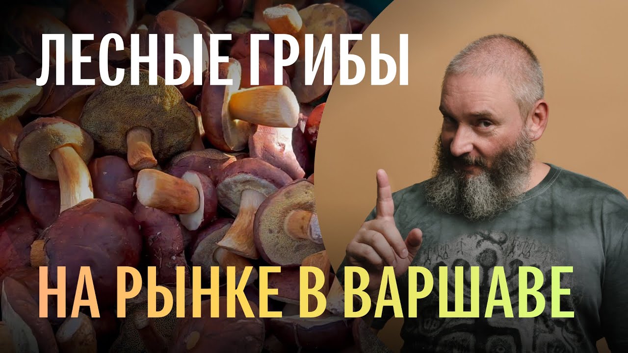 Рынок в Варшаве. Опята, рыжики, зонтики, маслята, польские грибы. Михаил Вишневский