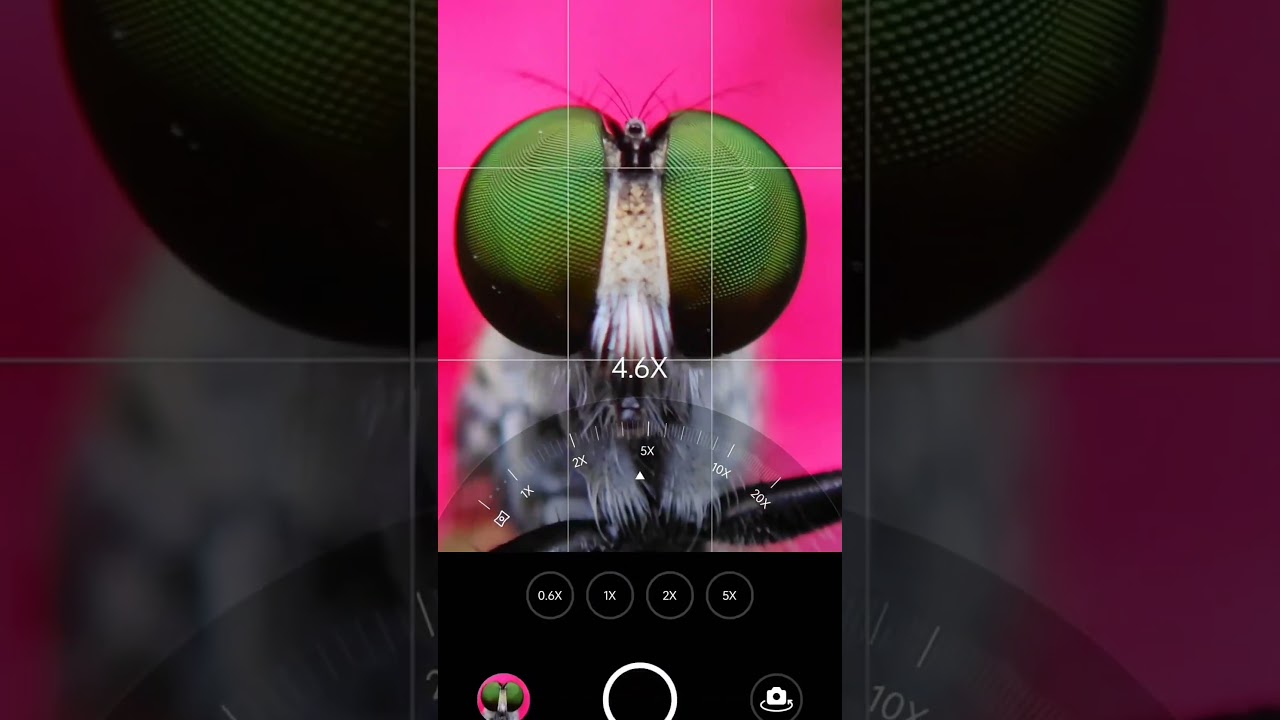 Adcom 15x macro from 5 in 1 mobile phone camera lens kit | #shorts #shotwithadcom