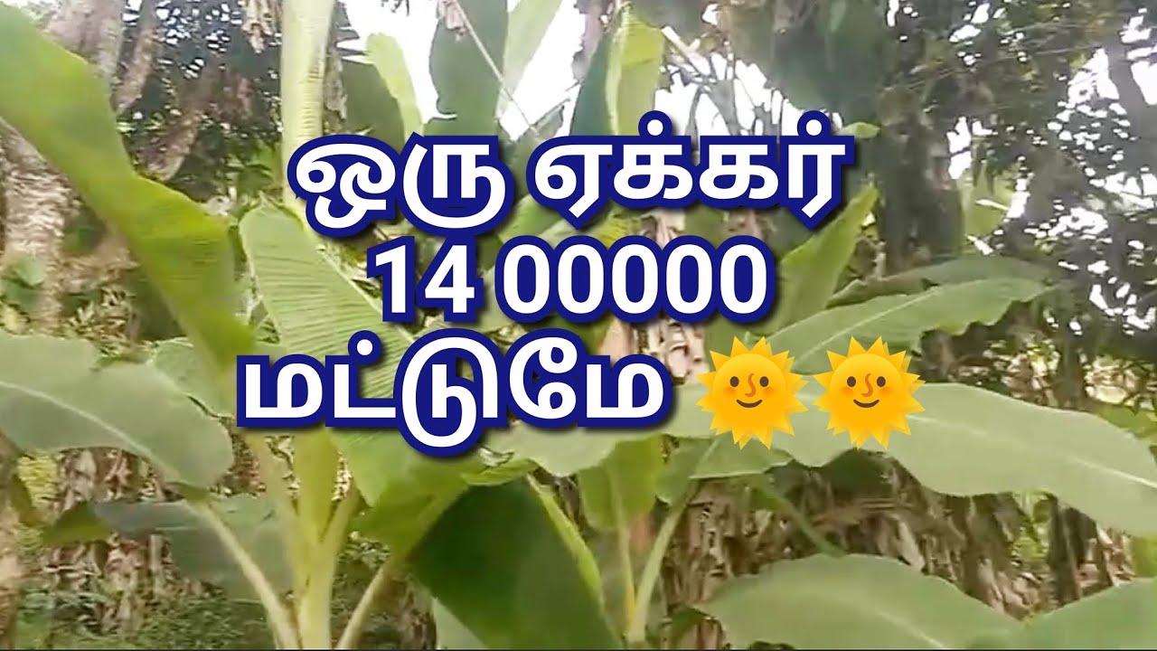 கொடைக்கானல் பகுதியில்  2 ஏக்கர் விவசாய நிலம் விற்பனை 