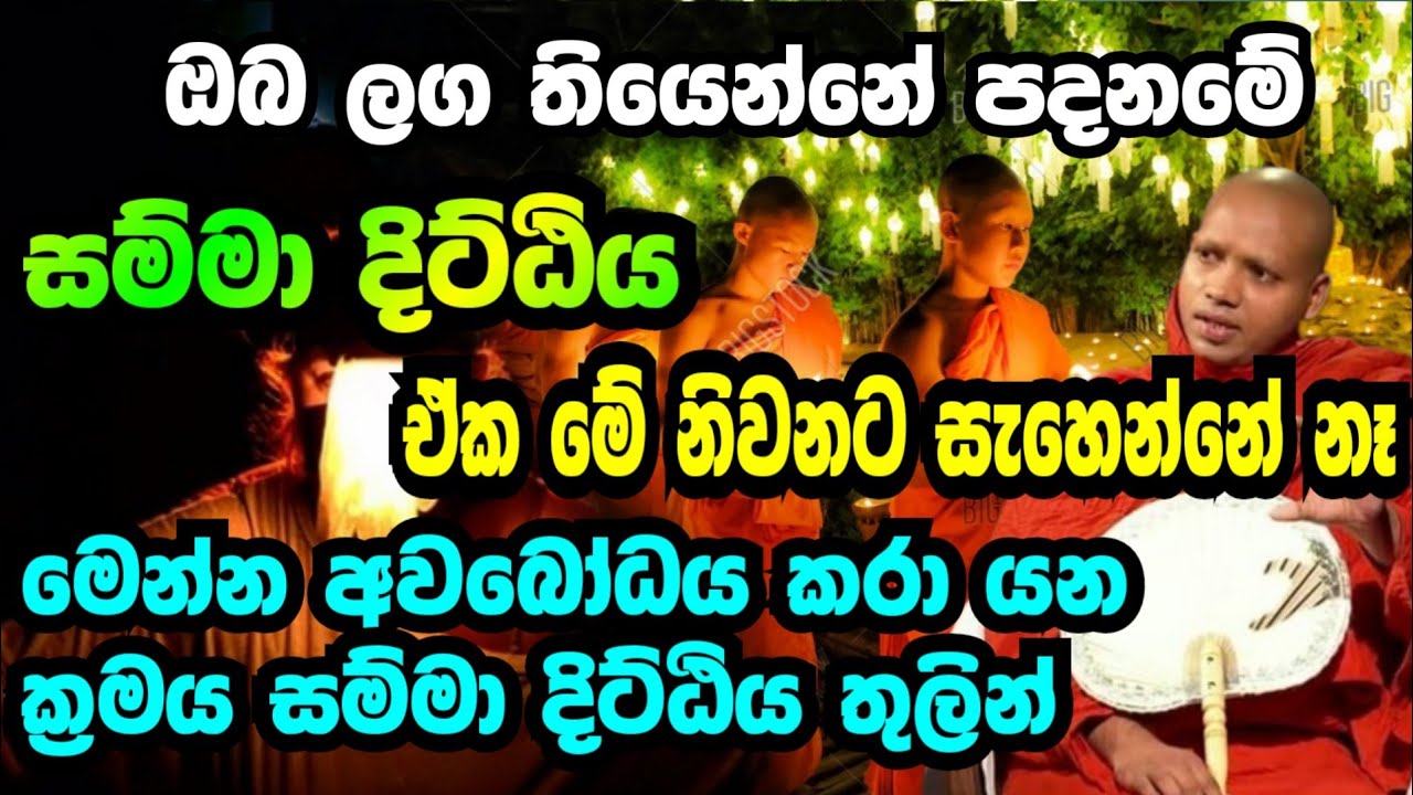 නිවැරදි සම්මා දිට්ඨිය තුලින් අවබෝධයට.Hasalaka Seelavimala Thero.හසලක සීලවිමල හිමි.
