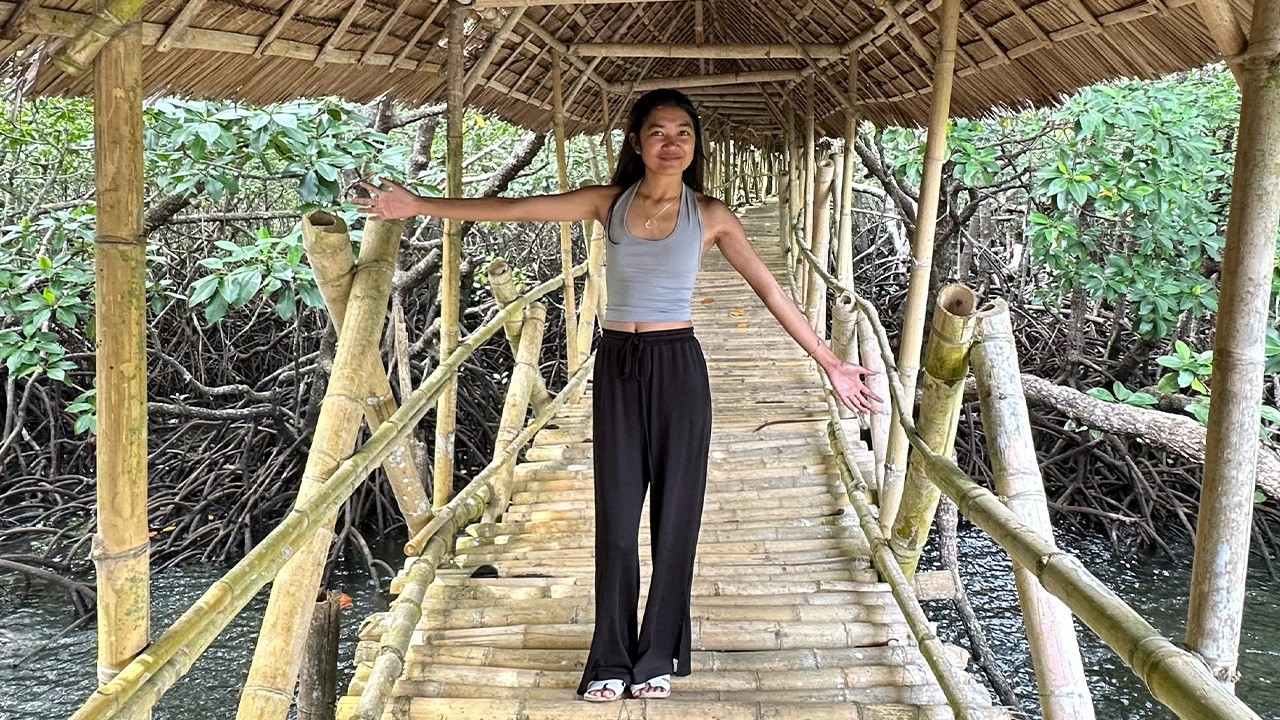 Esperanto Mangrove Trail, Puerto Princesa | Bamboo Boardwalk (No Talking, Natural Sounds) 4K60