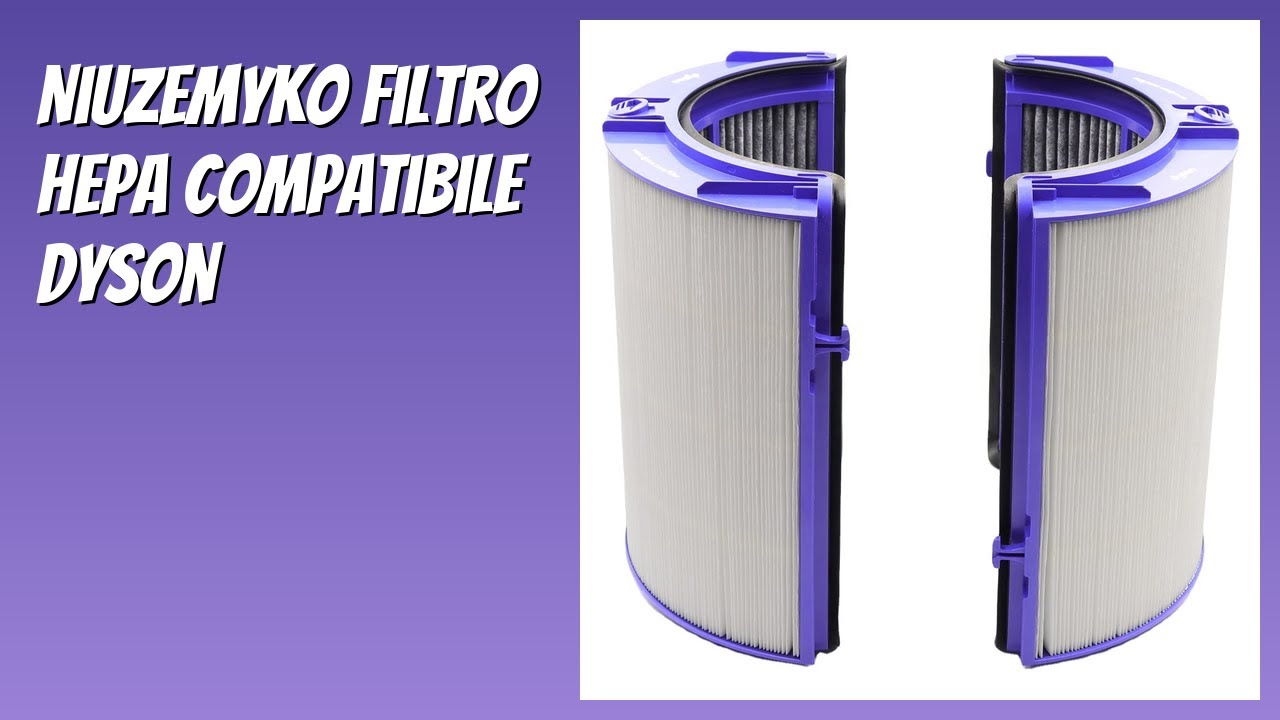 RECENSIONE (2026) : Niuzemyko Filtro HEPA compatibile Dyson. DETTAGLI