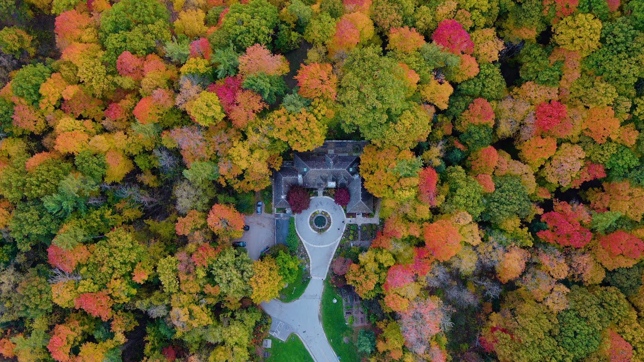 🍂Fall Colours in Canada🍁 Filmed in 8k on the DJI Inspire 3 Drone | The Riverwood Conservancy