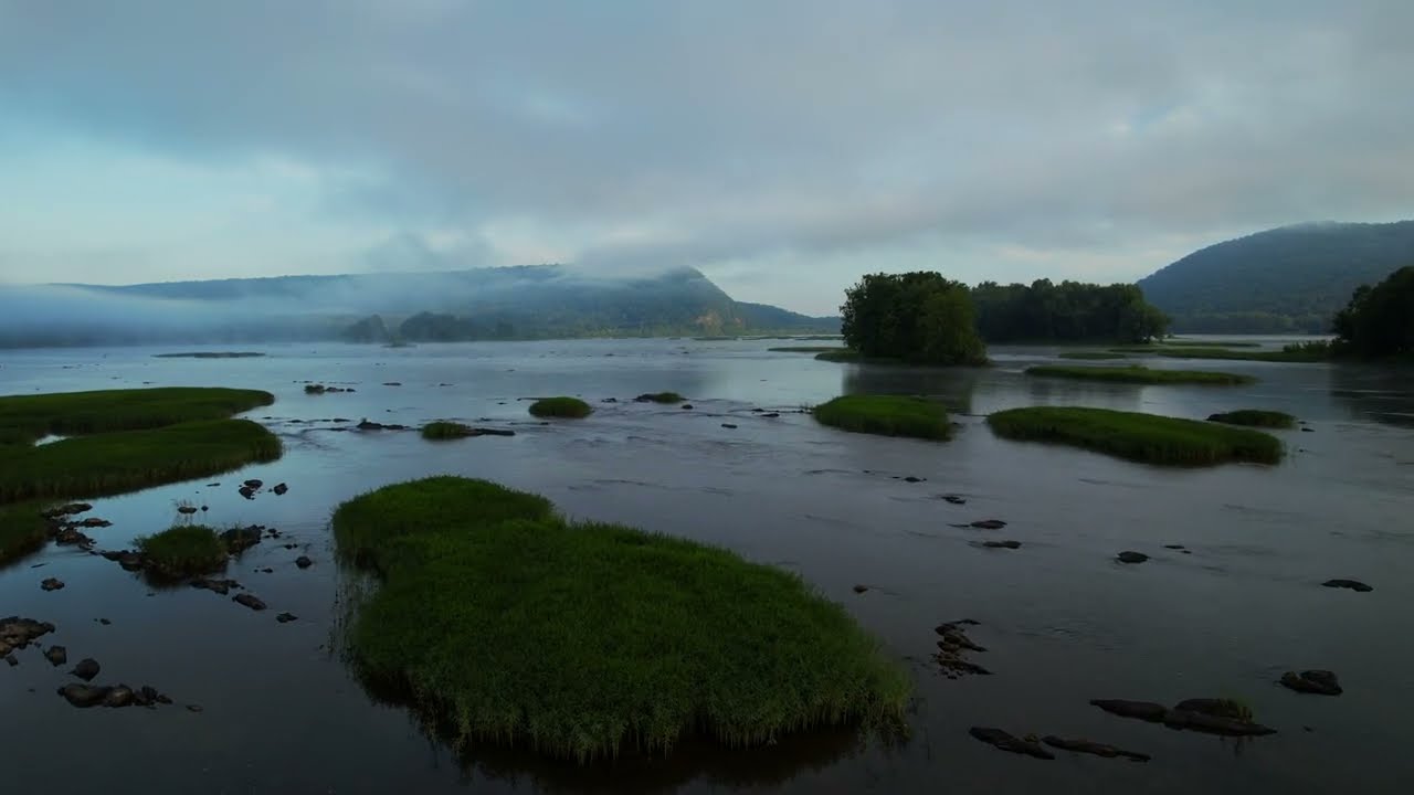 Susquehanna Morning