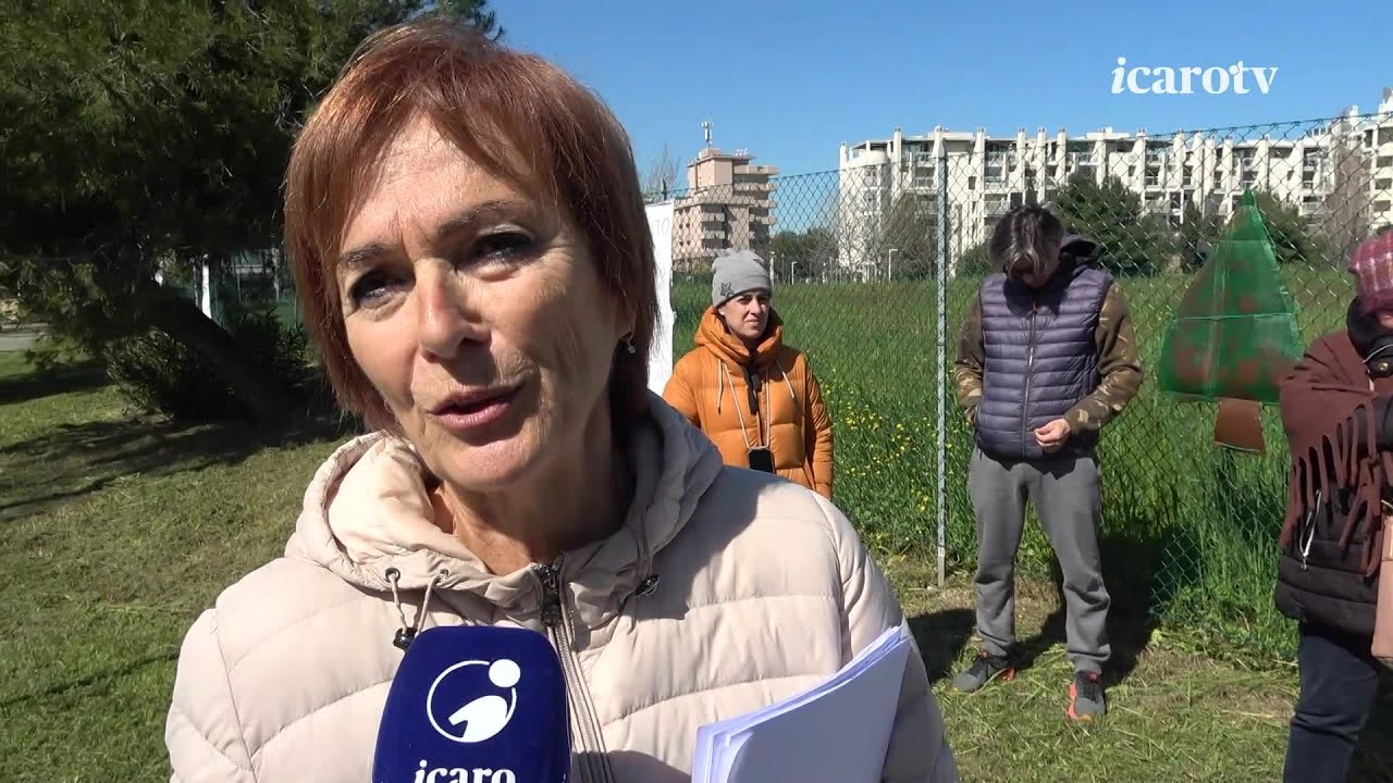 Nuovo Mercato Ittico a Rimini: la voce di favorevoli e contrari