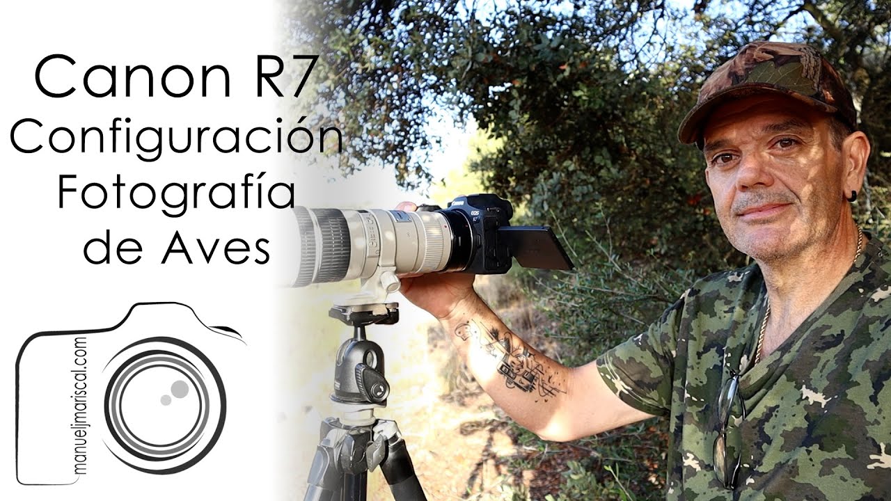 Canon R7.  Mi configuración para fotografiar la fauna ...  y las aves - Cap. 27