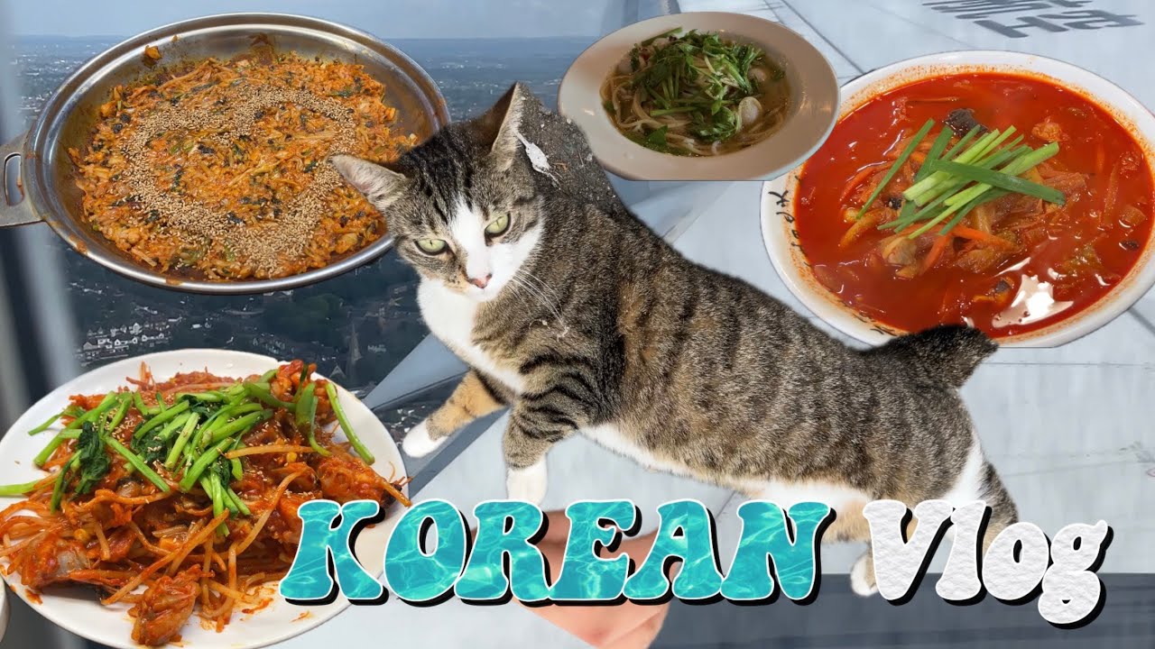 [영국 일상🇬🇧] 한국Ep.3/끝나지 않았던 한국 vlog/한강 나들이/강릉 여행/중국 상해공항/라운지 후기/영국 일상으로🥲