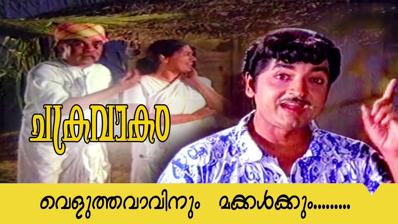 Chakravakam | Malayalam Movie Song | Velutha Vaavinnum Makkalkkum...