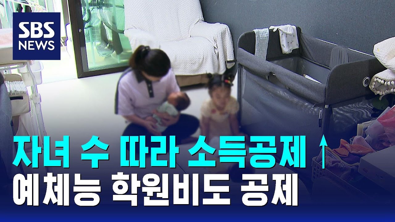 자녀 수 따라 소득공제&uarr;&hellip;예체능 학원비도 공제 / SBS