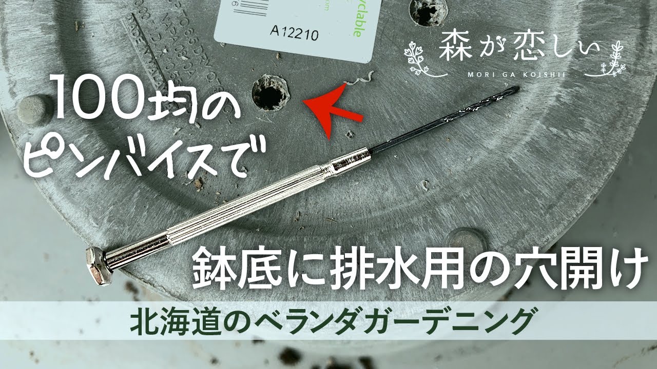 鉢底にピンバイスで穴を開ける！アートストーン【北海道ベランダガーデニングvlog】