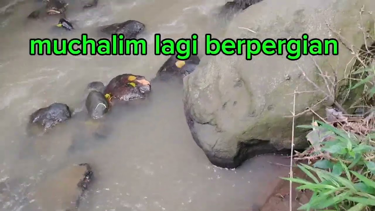 BERPERGIAN SAYA KALI INI CUMA BLUSUKAN DI KEBUN DAN SUNGAI 