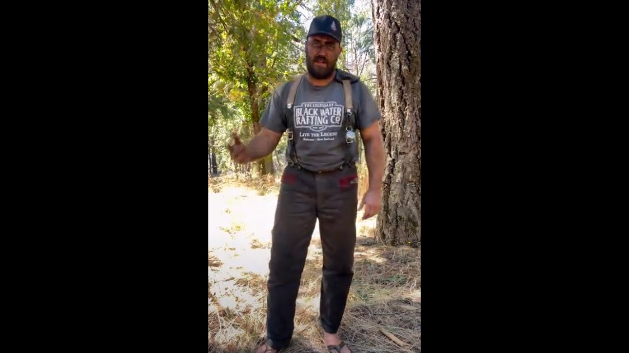 Chainsaw Safety Pant Review, Denim Pro- Rain Gear Pro