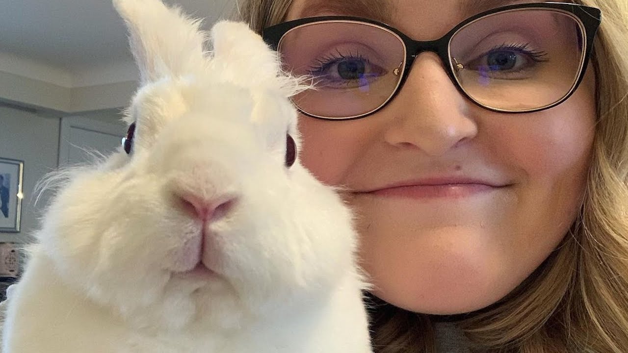 I adopted a bunny that intimidated me