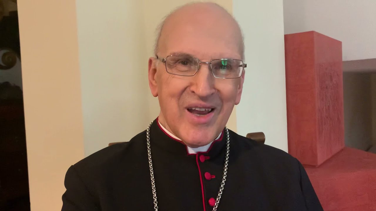 Mons. Molinari: 