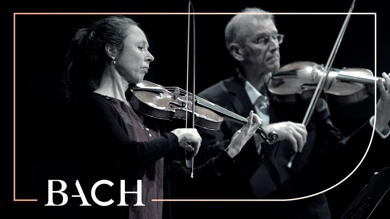 Bach - 'Brandenburg' Concerto no. 5 in D major BWV 1050a - Sato | Netherlands Bach Society