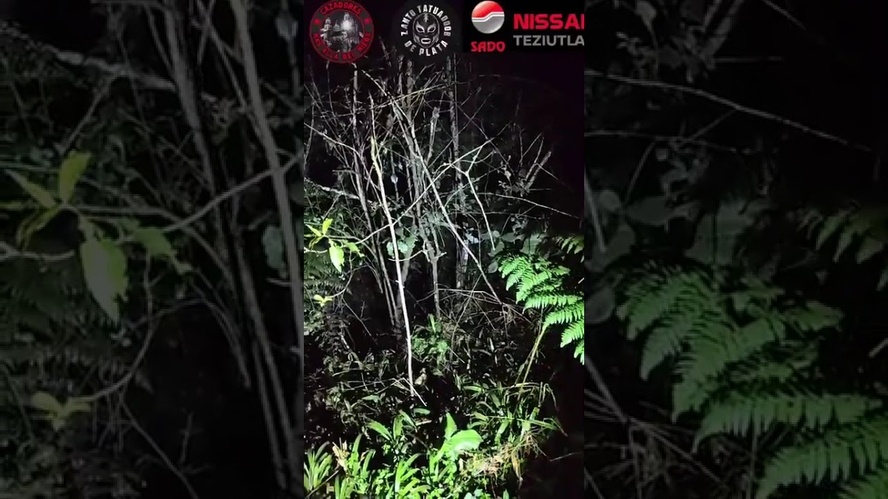 Trasmisión en el kilómetro 8 la marquesa 