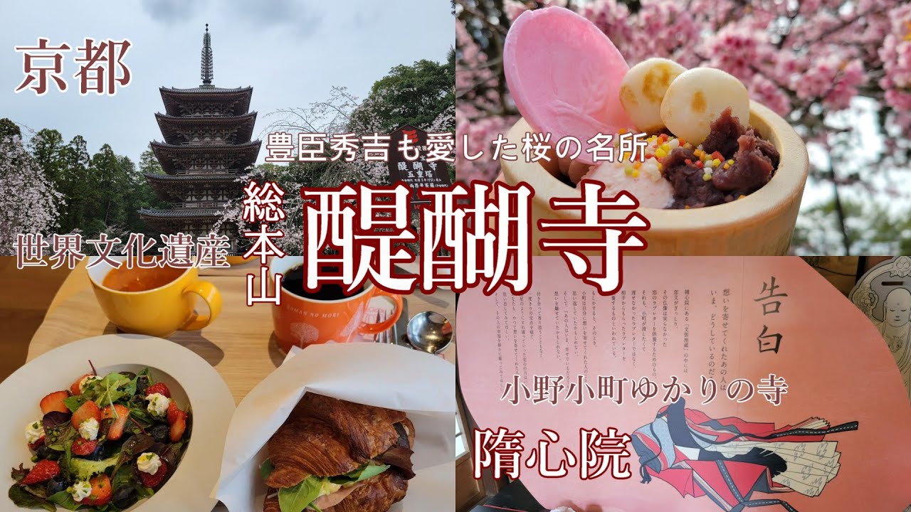 【京都醍醐寺でお花見】豊臣秀吉設計の庭園／小野小町ゆかりの寺／美味しいクロワッサン