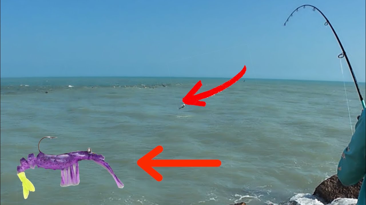 MYTH BUSTED: SMALL LURE CATCHES JETTY MONSTER!!! SOUTH TEXAS FISHING