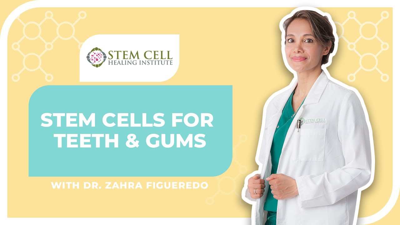 Q&A: Stem Cells for Teeth and Gums