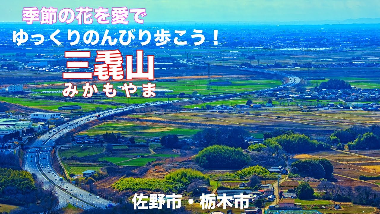 【新・花の百名山】4K 超低山229mでも悔れない！花と展望の 三毳山 ハイキング！栃木県佐野市・栃木市