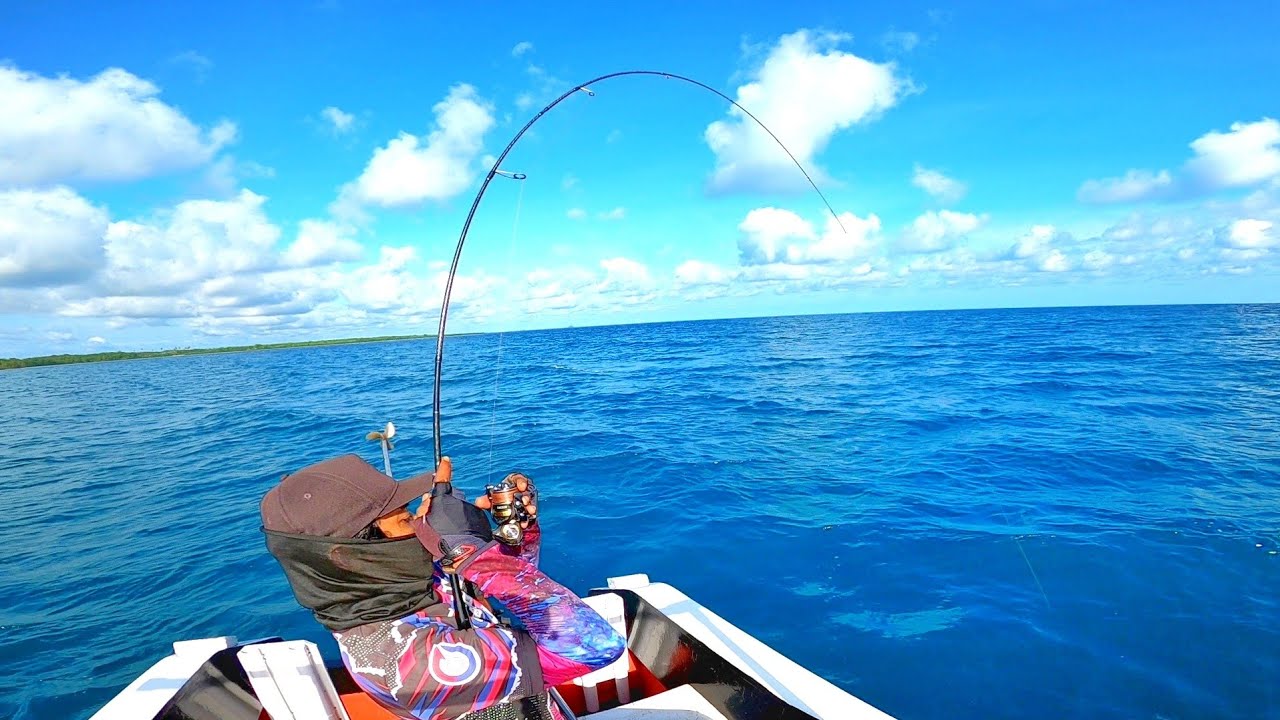 REEL DAN JORAN KECIL DISIKSA BUAT IKAN BESAR / IROLY EXCEED 1000